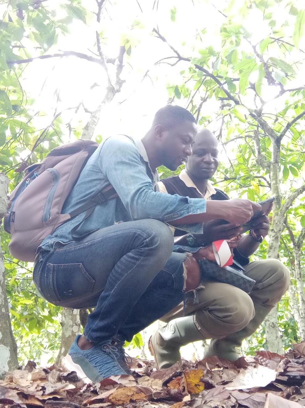 Deux personnes échangent sous un arbre en consultant un document.